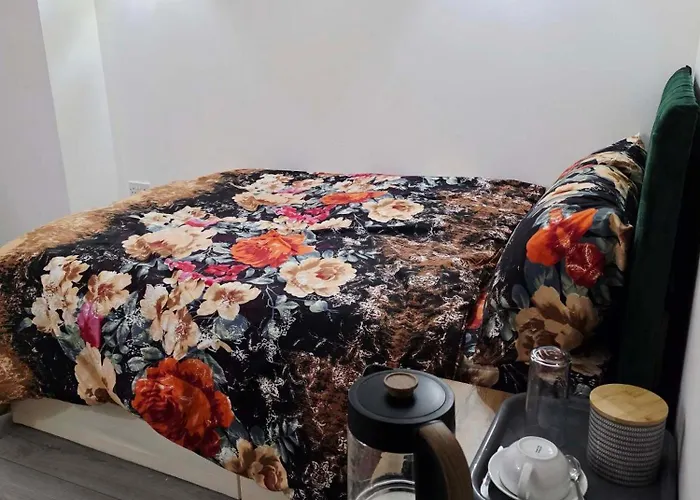 Oge's * 布雷得佛