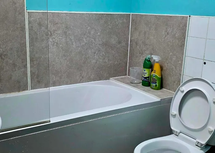 Oge's * 布雷得佛